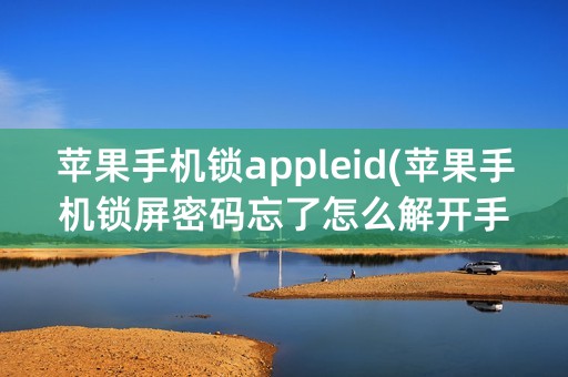 苹果手机锁appleid(苹果手机锁屏密码忘了怎么解开手机)