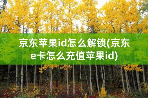 京东苹果id怎么解锁(京东e卡怎么充值苹果id)