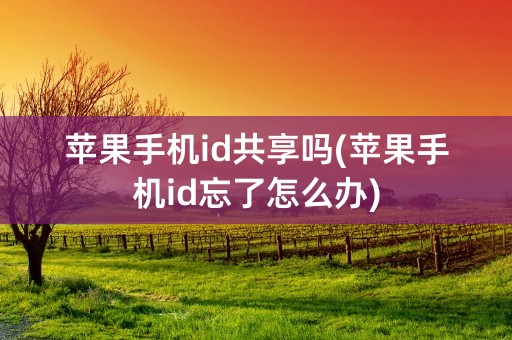 苹果手机id共享吗(苹果手机id忘了怎么办)