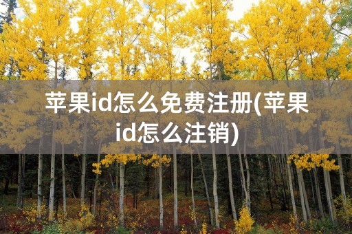 苹果id怎么免费注册(苹果id怎么注销)