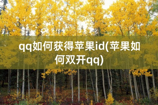 qq如何获得苹果id(苹果如何双开qq)