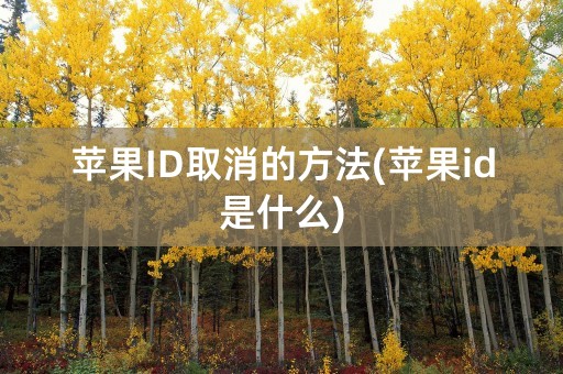 苹果ID取消的方法(苹果id是什么)