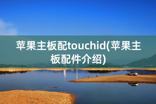 苹果主板配touchid(苹果主板配件介绍)