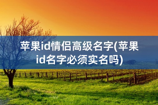 苹果id情侣高级名字(苹果id名字必须实名吗)