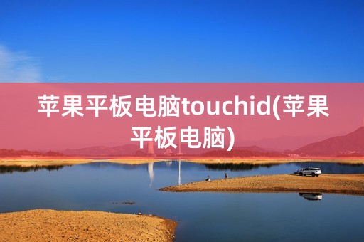 苹果平板电脑touchid(苹果平板电脑)