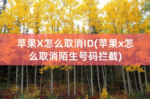 苹果X怎么取消ID(苹果x怎么取消陌生号码拦截)