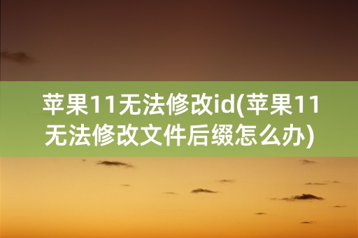 苹果11无法修改id(苹果11无法修改文件后缀怎么办)