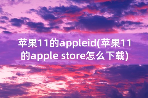 苹果11的appleid(苹果11的apple store怎么下载)