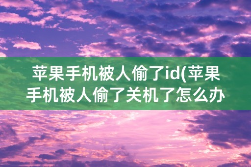 苹果手机被人偷了id(苹果手机被人偷了关机了怎么办)