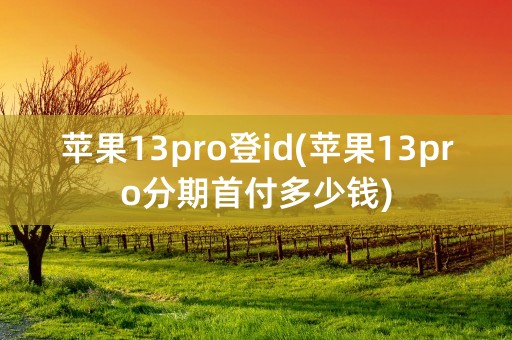 苹果13pro登id(苹果13pro分期首付多少钱)