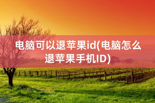 电脑可以退苹果id(电脑怎么退苹果手机ID)