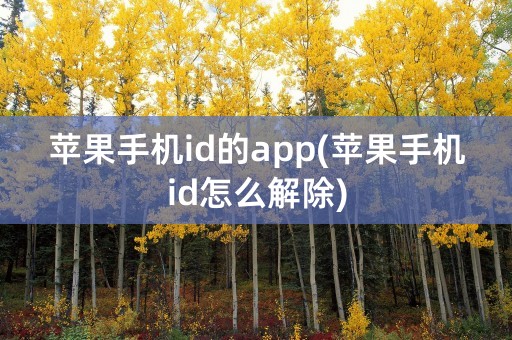 苹果手机id的app(苹果手机id怎么解除)