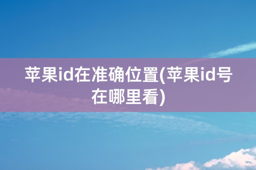 苹果id在准确位置(苹果id号在哪里看)