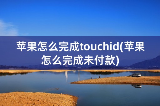 苹果怎么完成touchid(苹果怎么完成未付款)