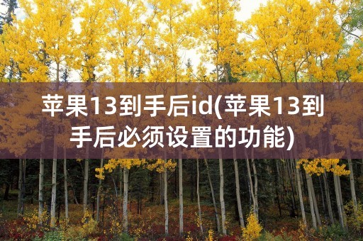 苹果13到手后id(苹果13到手后必须设置的功能)