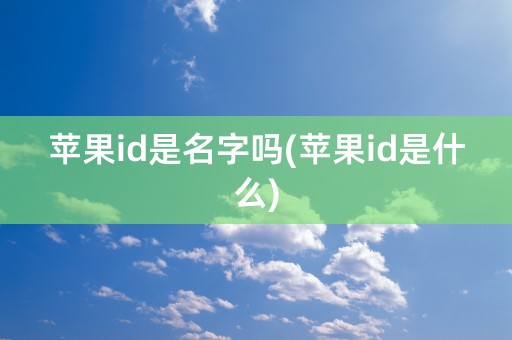 苹果id是名字吗(苹果id是什么)