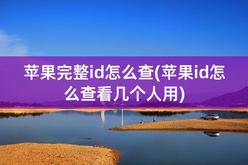 苹果完整id怎么查(苹果id怎么查看几个人用)