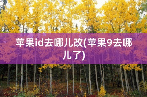 苹果id去哪儿改(苹果9去哪儿了)