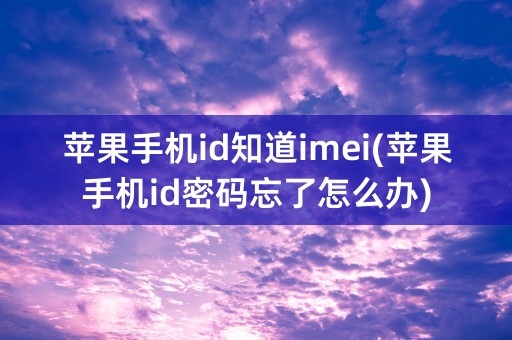 苹果手机id知道imei(苹果手机id密码忘了怎么办)