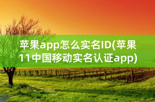 苹果app怎么实名ID(苹果11中国移动实名认证app)