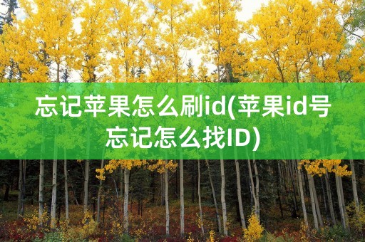 忘记苹果怎么刷id(苹果id号忘记怎么找ID)