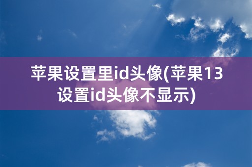 苹果设置里id头像(苹果13设置id头像不显示)