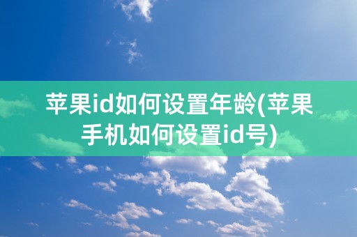 苹果id如何设置年龄(苹果手机如何设置id号)