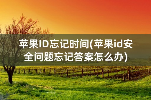 苹果ID忘记时间(苹果id安全问题忘记答案怎么办)