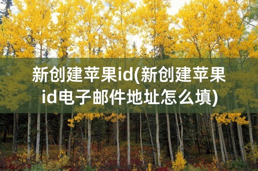 新创建苹果id(新创建苹果id电子邮件地址怎么填)