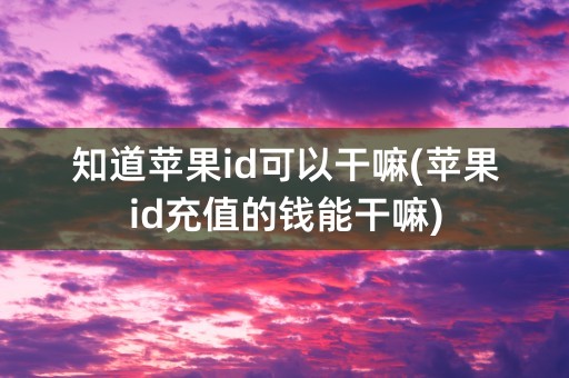 知道苹果id可以干嘛(苹果id充值的钱能干嘛)