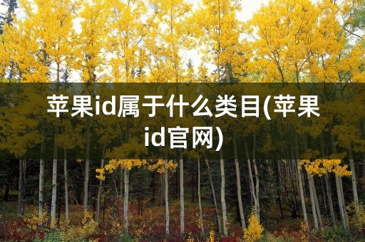 苹果id属于什么类目(苹果id官网)