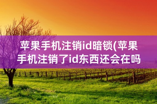 苹果手机注销id暗锁(苹果手机注销了id东西还会在吗)