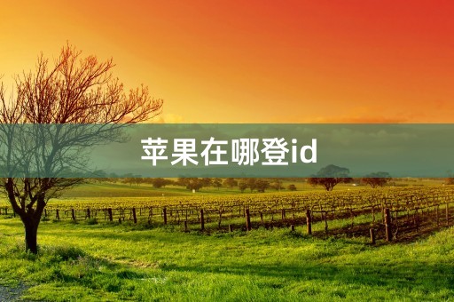 苹果在哪登id