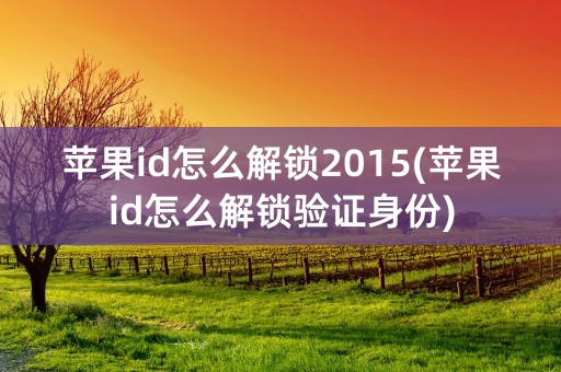 苹果id怎么解锁2015(苹果id怎么解锁验证身份)