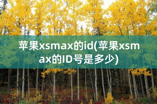 苹果xsmax的id(苹果xsmax的ID号是多少)