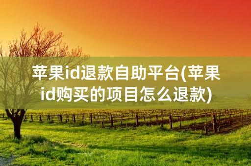 苹果id退款自助平台(苹果id购买的项目怎么退款)