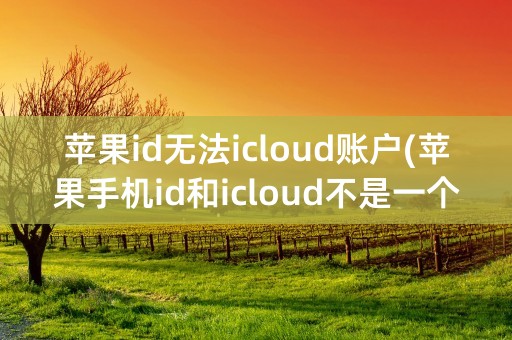 苹果id无法icloud账户(苹果手机id和icloud不是一个账户怎么办)