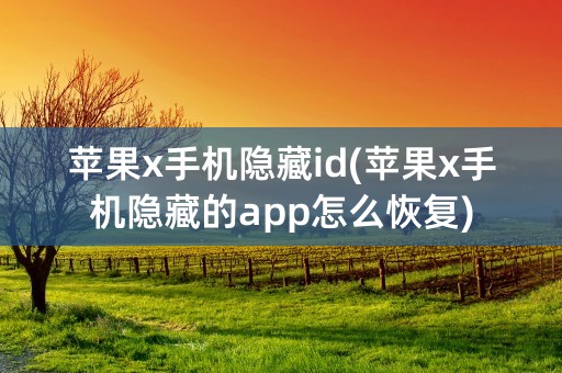 苹果x手机隐藏id(苹果x手机隐藏的app怎么恢复)