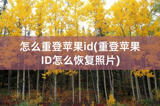 怎么重登苹果id(重登苹果ID怎么恢复照片)