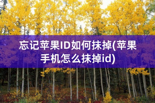 忘记苹果ID如何抹掉(苹果手机怎么抹掉id)