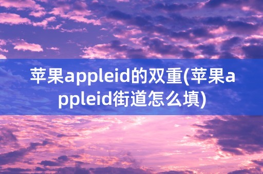 苹果appleid的双重(苹果appleid街道怎么填)