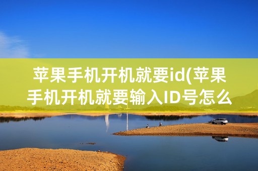 苹果手机开机就要id(苹果手机开机就要输入ID号怎么办)