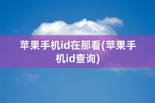 苹果手机id在那看(苹果手机id查询)