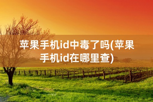 苹果手机id中毒了吗(苹果手机id在哪里查)