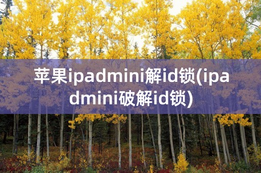 苹果ipadmini解id锁(ipadmini破解id锁)