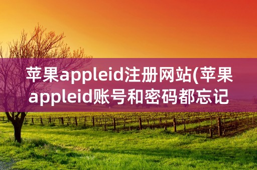 苹果appleid注册网站(苹果appleid账号和密码都忘记了怎么办)