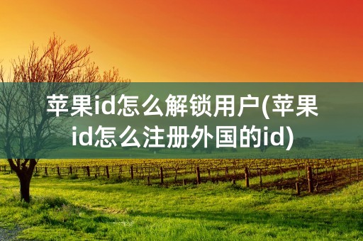 苹果id怎么解锁用户(苹果id怎么注册外国的id)