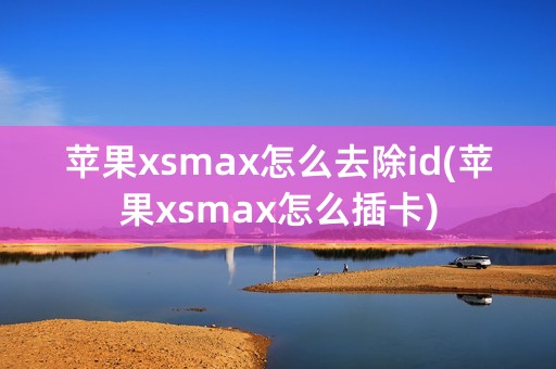 苹果xsmax怎么去除id(苹果xsmax怎么插卡)