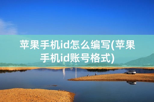 苹果手机id怎么编写(苹果手机id账号格式)