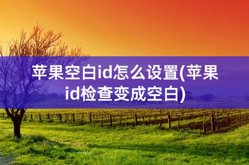 苹果空白id怎么设置(苹果id检查变成空白)